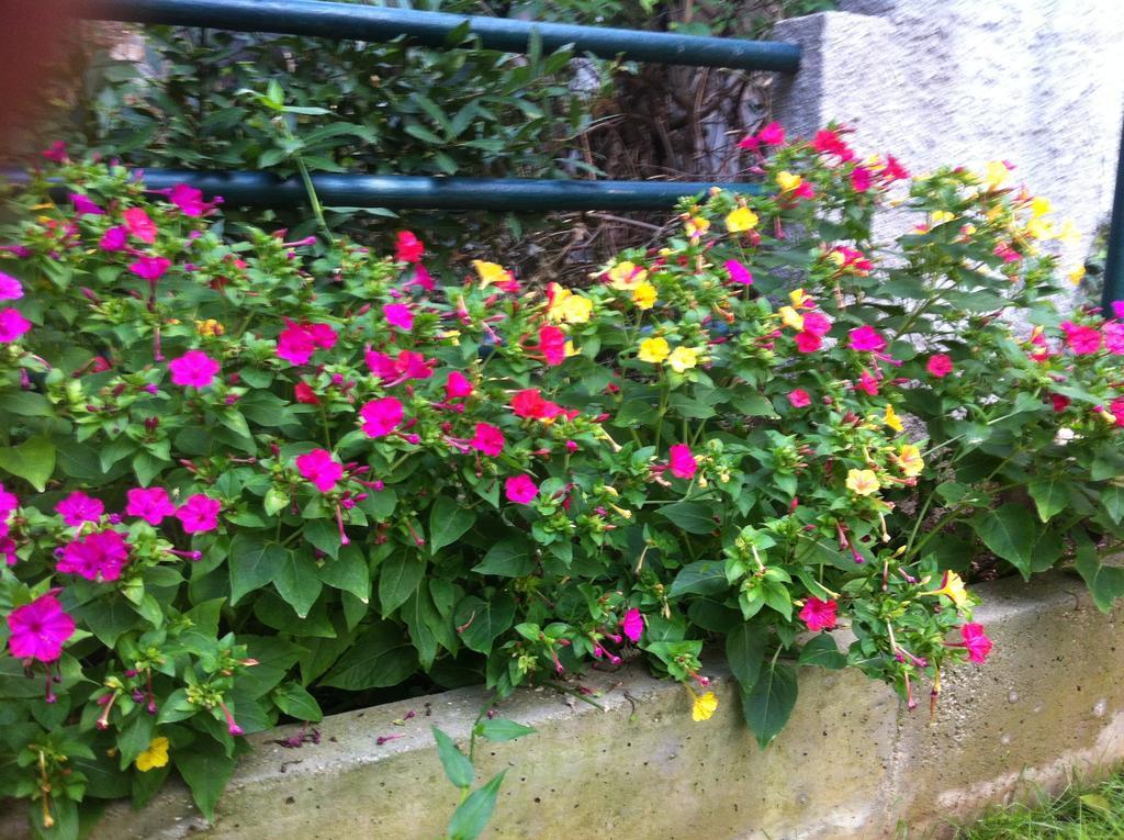 Guesthouse Liska Mostar Exterior photo